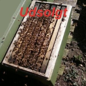 Bifamilier, 6 rm, Langstroth