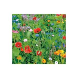 Landmandens  Blomsterbl. 1 - årig 0,5 kg
